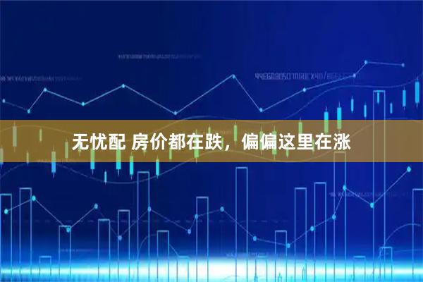 无忧配 房价都在跌，偏偏这里在涨