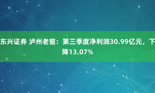 东兴证券 泸州老窖：第三季度净利润30.99亿元，下降13.07%